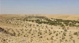 Edge of the World and Huraymila National Park Excursion