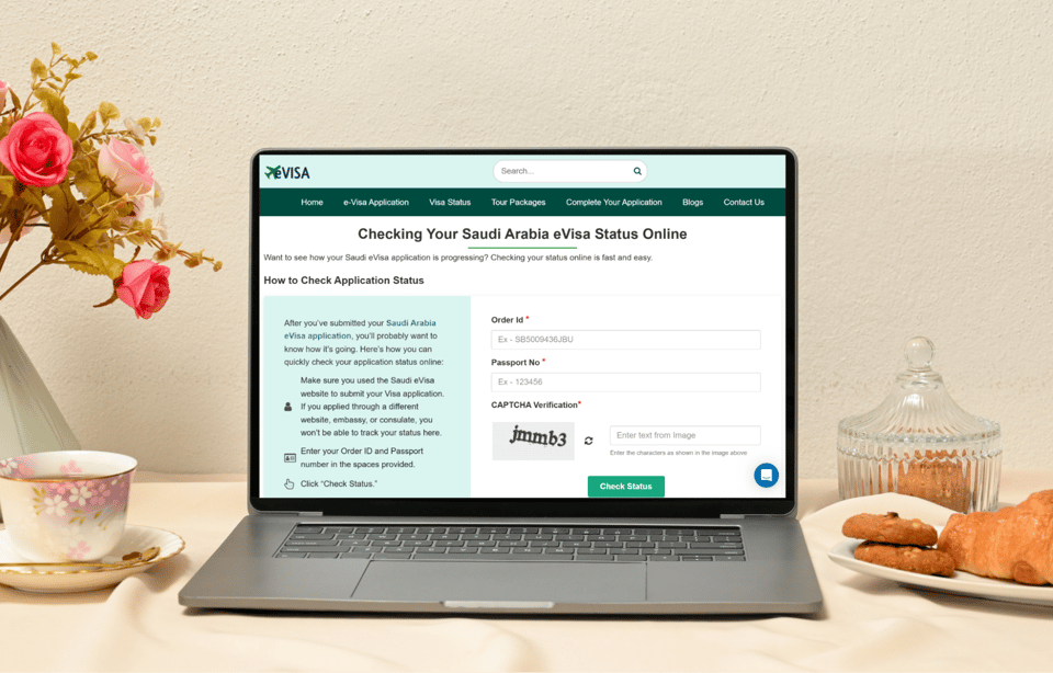 How Can Georgian Citizens Check The Saudi Arabia Evisa Status