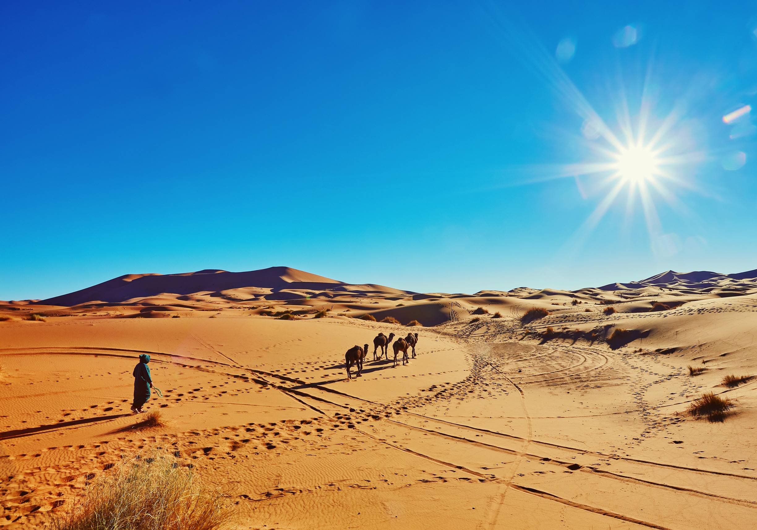 Man Walking With Camel In Morocco Desert Man Walking With Camel In Morocco Desert