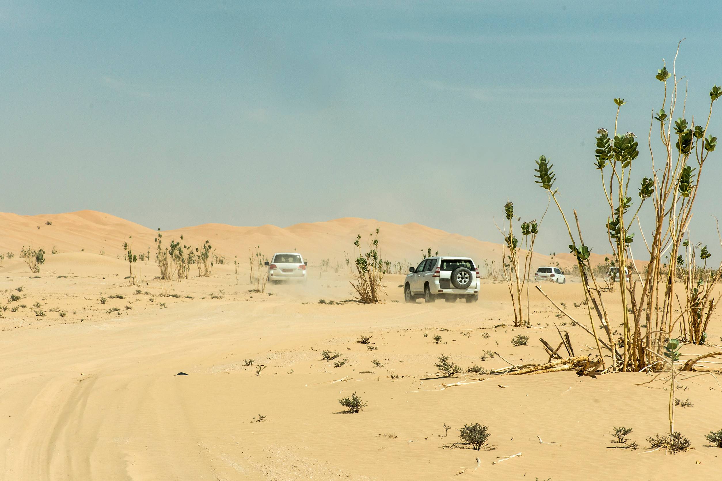 Saudi Arabia E Visa For Estonia Citizens
